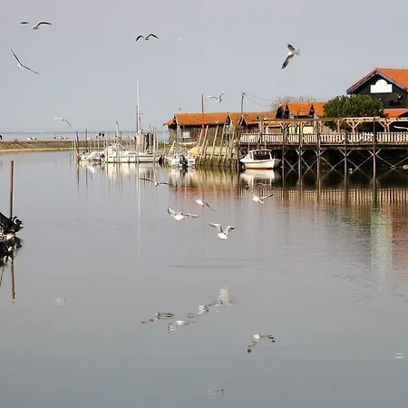 Feriehus Climatisee Et Wifi A 5 Mn Du Bassin D'arcachon Gujan-Mestras